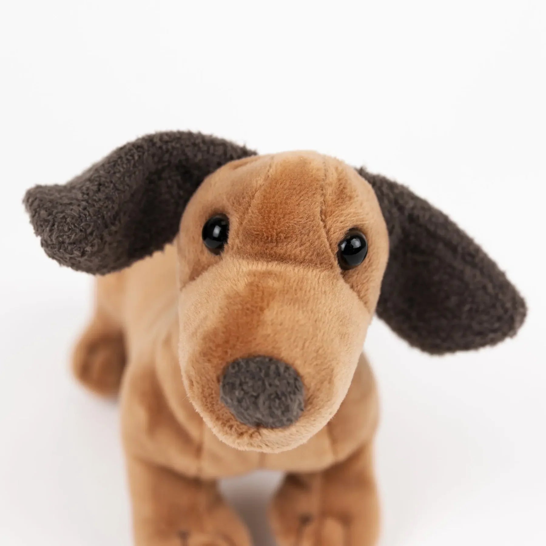 EGMONT TOY EDWARD THE DOG