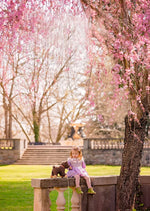 Load image into Gallery viewer, EGMONT TOY PULL-ALONG RAOUL
