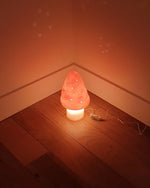 Load image into Gallery viewer, Heico Lamp - Small Mushroom Vintage Pink
