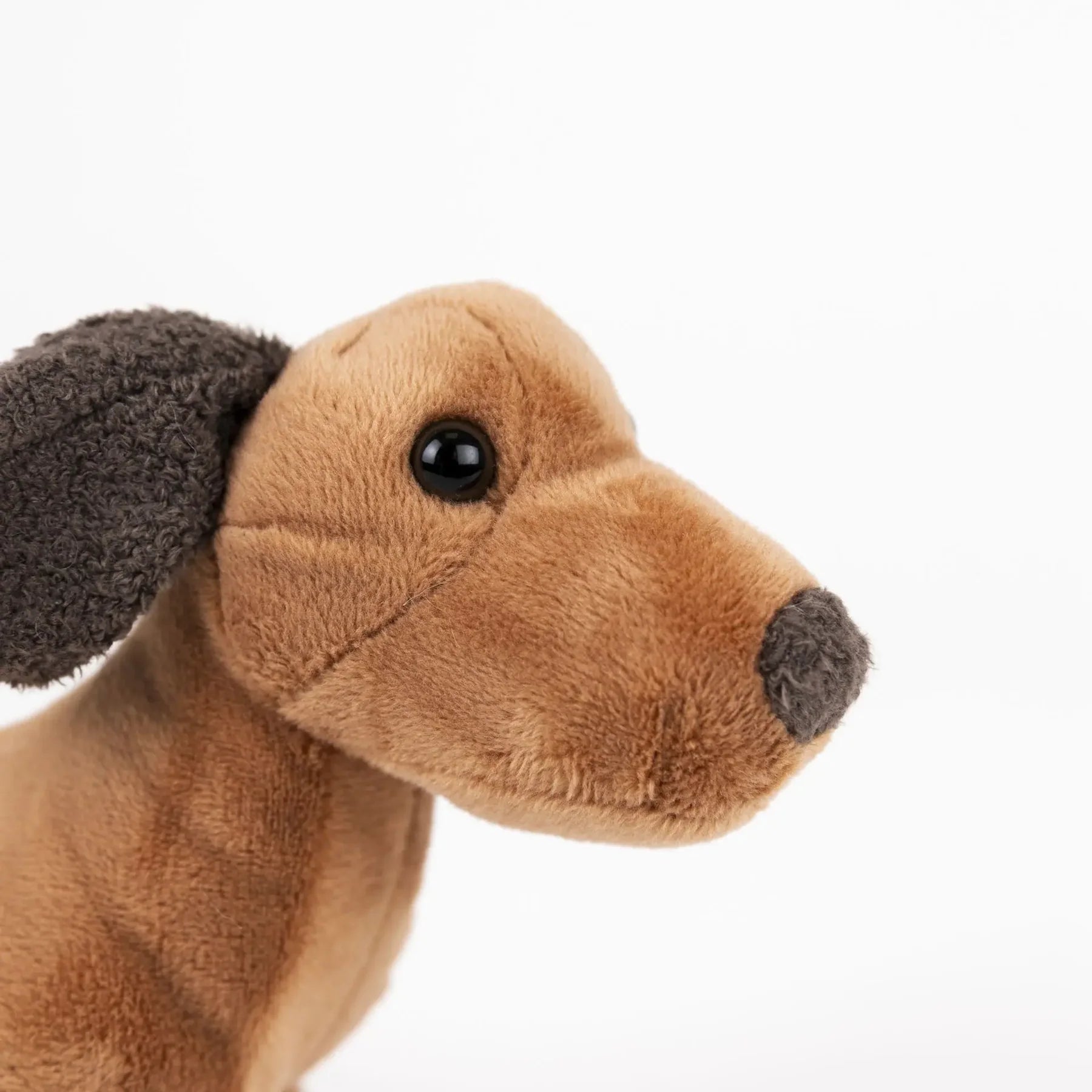 EGMONT TOY EDWARD THE DOG