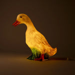 Load image into Gallery viewer, Heico Lamp – Duck
