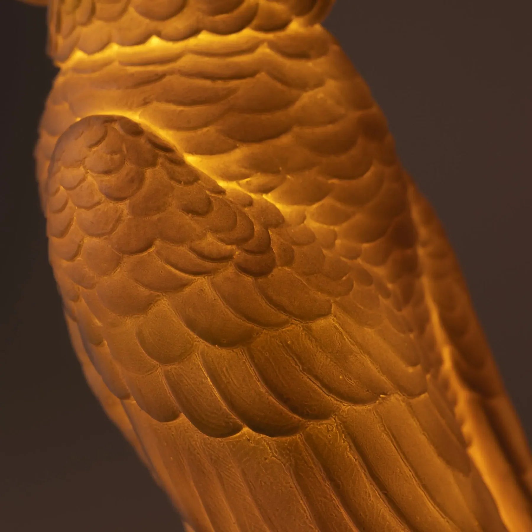EGMONT Cockatoo Nightlight