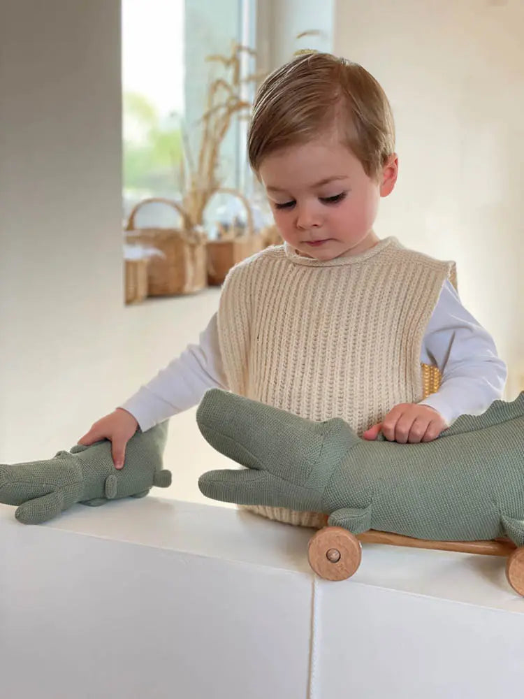 Egmont Pull Along - CROC