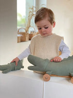 Load image into Gallery viewer, Egmont Pull Along - CROC
