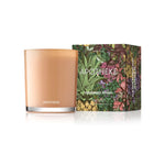 Load image into Gallery viewer, Apotheke - Cedarwood Ginger Candle -­ 70hr
