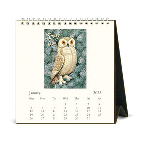 Cavallini Desk Calendar 2025