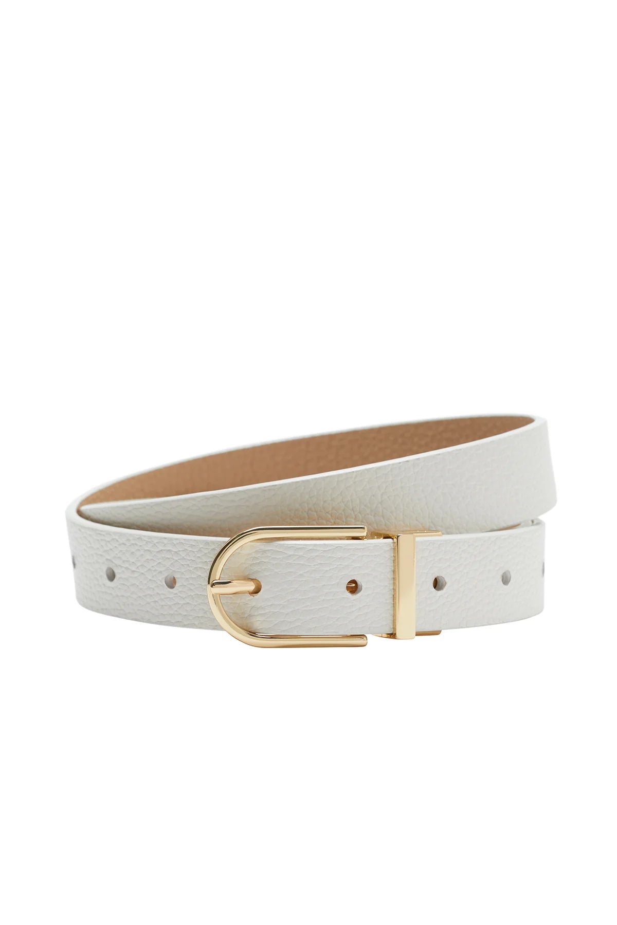 Reversible Belt