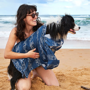 Dock & Bay: Dog Towel L