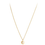 Load image into Gallery viewer, PETITE NECKLACE
