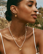 Load image into Gallery viewer, MINI GOLDEN BEACHCOMBER HOOKS
