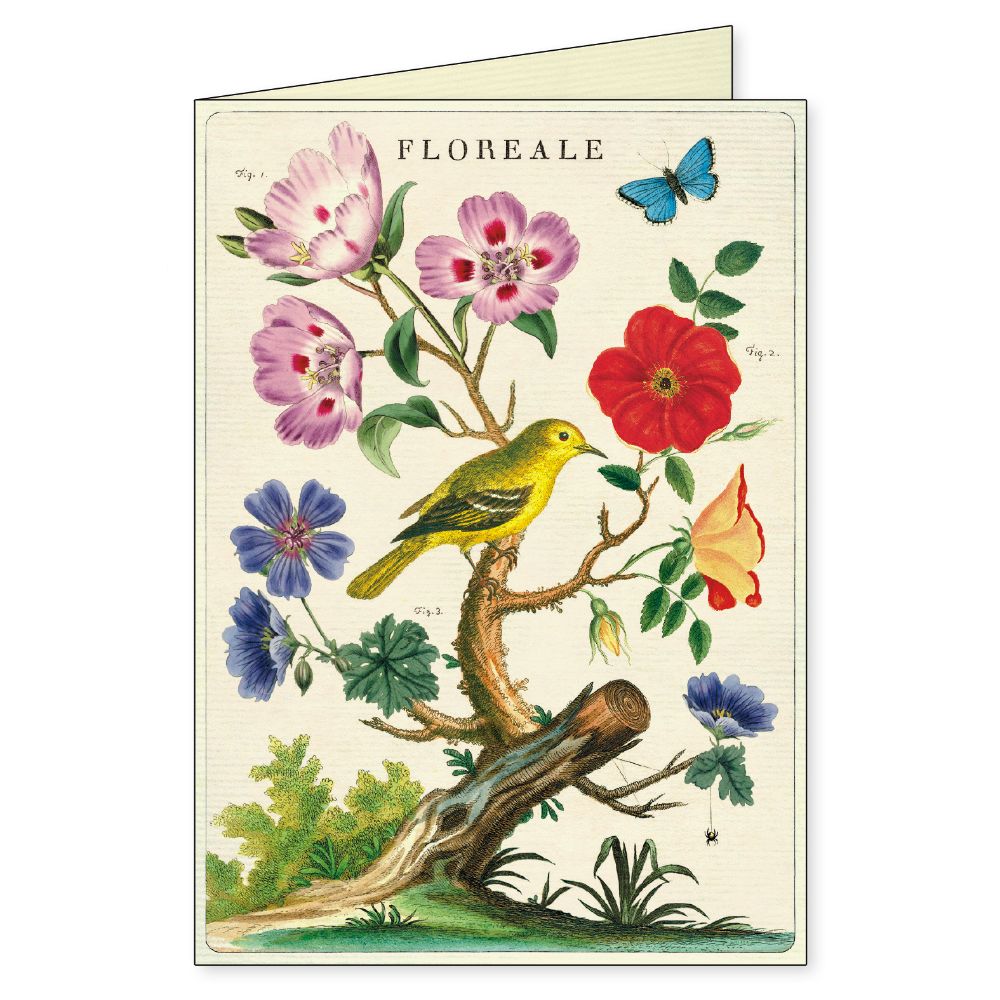 Cavallini - Boxed Notecards
