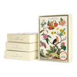 Load image into Gallery viewer, Cavallini - Boxed Notecards
