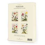 Load image into Gallery viewer, Cavallini - Boxed Notecards
