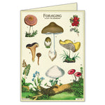 Load image into Gallery viewer, Cavallini - Boxed Notecards
