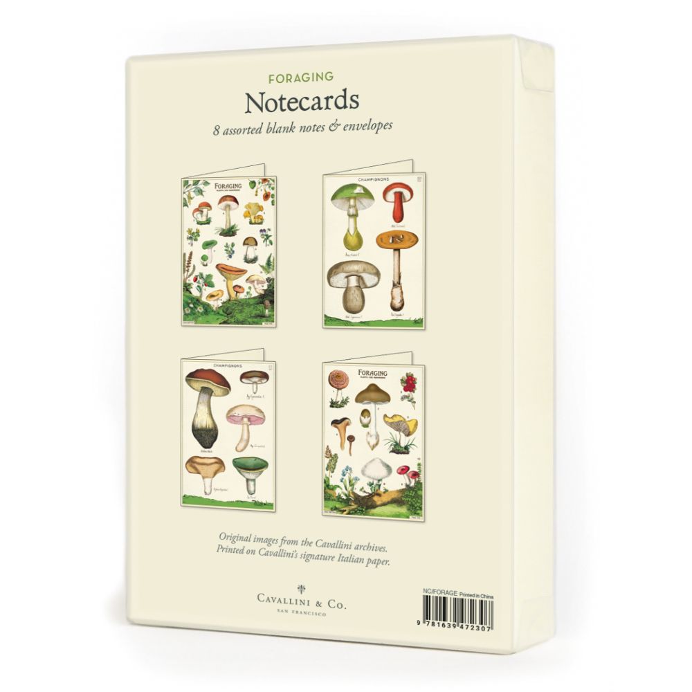 Cavallini - Boxed Notecards