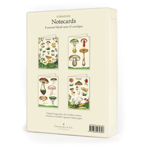 Cavallini - Boxed Notecards