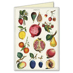 Load image into Gallery viewer, Cavallini - Boxed Notecards
