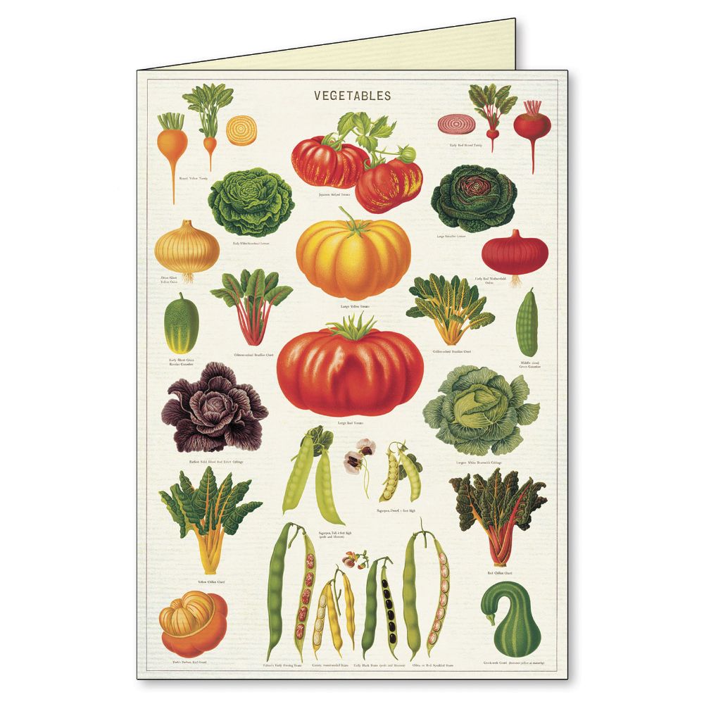Cavallini - Boxed Notecards