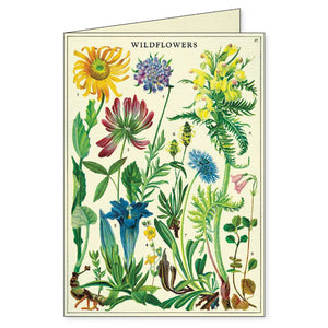 Cavallini - Boxed Notecards