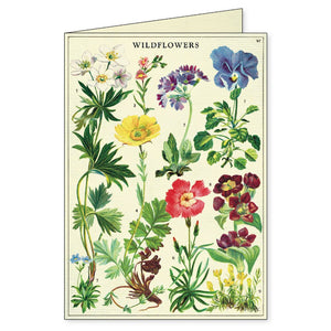 Cavallini - Boxed Notecards