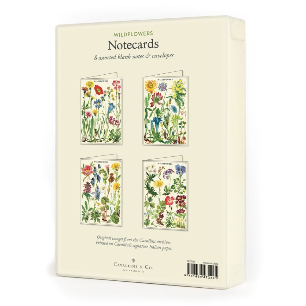 Cavallini - Boxed Notecards