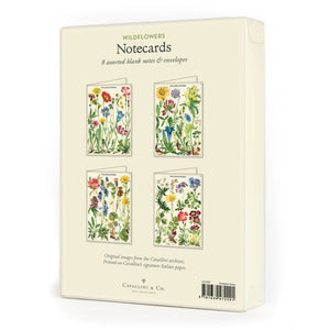Cavallini - Boxed Notecards