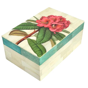 C.A.M. - Paradiso Box - Rhododendron