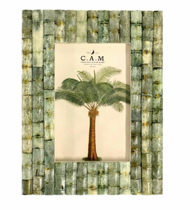 C.A.M. - Paradiso Frame - Palm Green