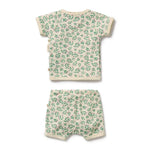 Load image into Gallery viewer, Periwinkle Organic Kimono Set
