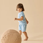 Load image into Gallery viewer, Sunny Seagulls Organic Pointelle Short Sleeved Pyjamas
