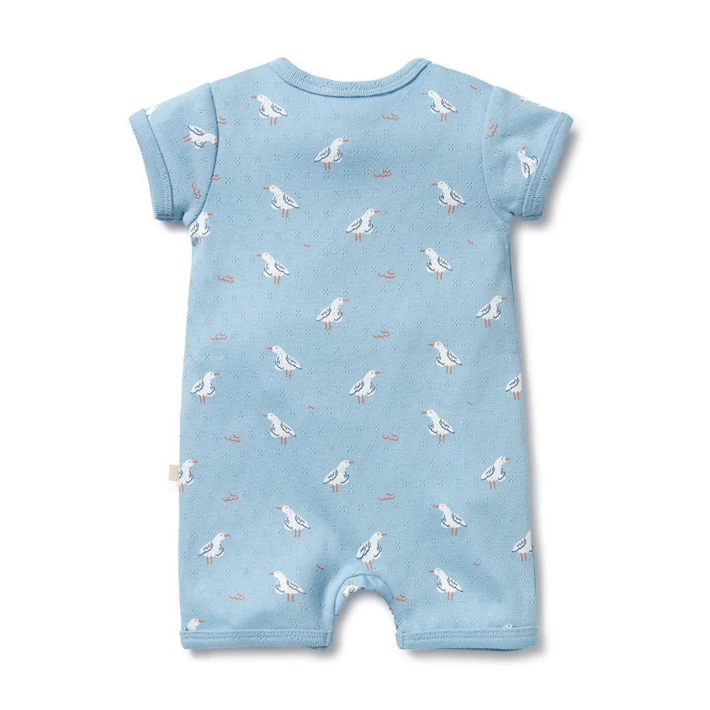 Sunny Seagulls Organic Pointelle Boyleg Zipsuit