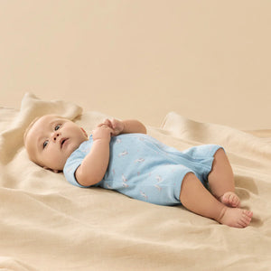 Sunny Seagulls Organic Pointelle Boyleg Zipsuit