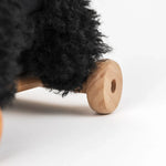Load image into Gallery viewer, Egmont Pull Along - WALTER
