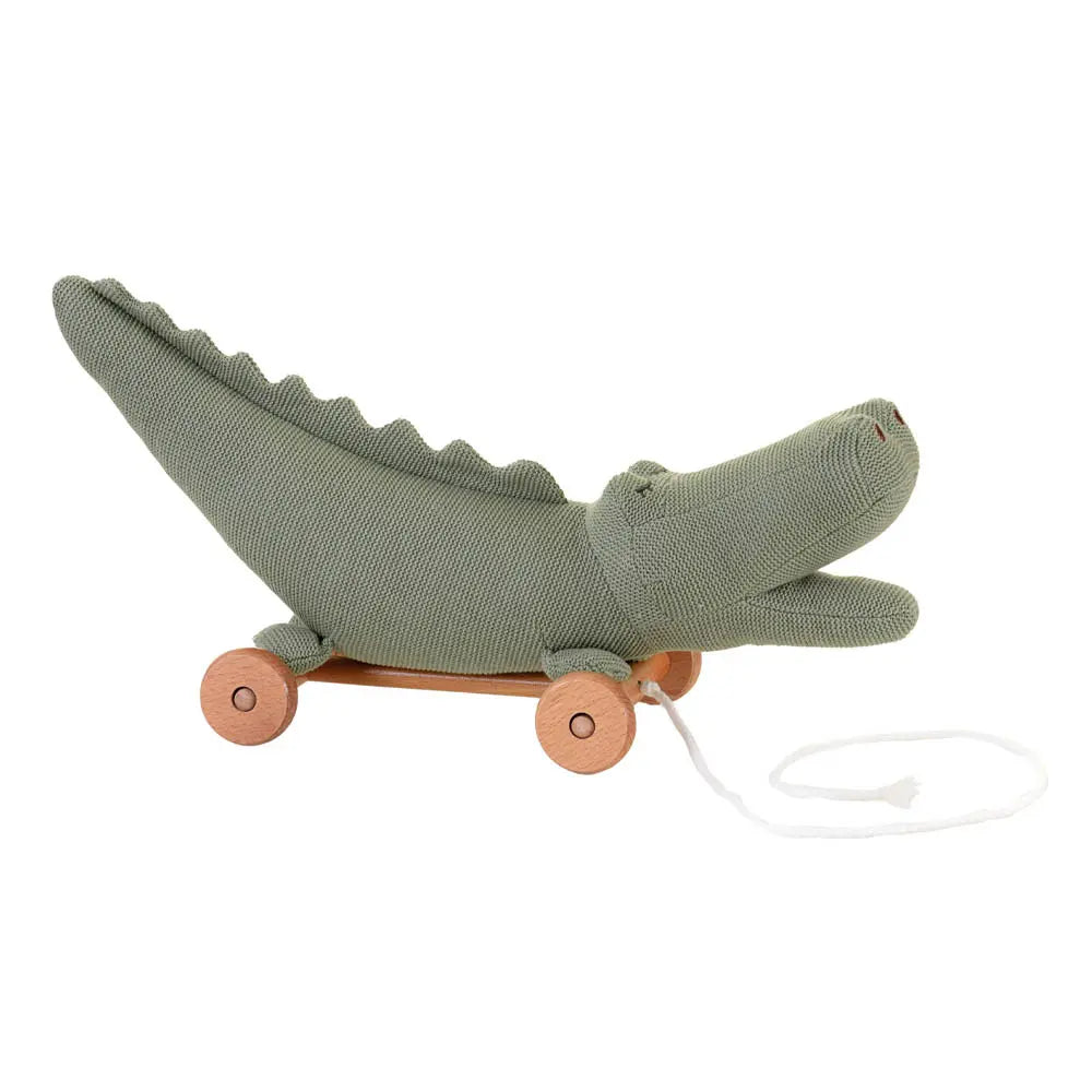 Egmont Pull Along - CROC