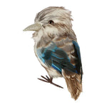 Load image into Gallery viewer, Kookaburra Medium
