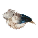 Load image into Gallery viewer, Kookaburra Small
