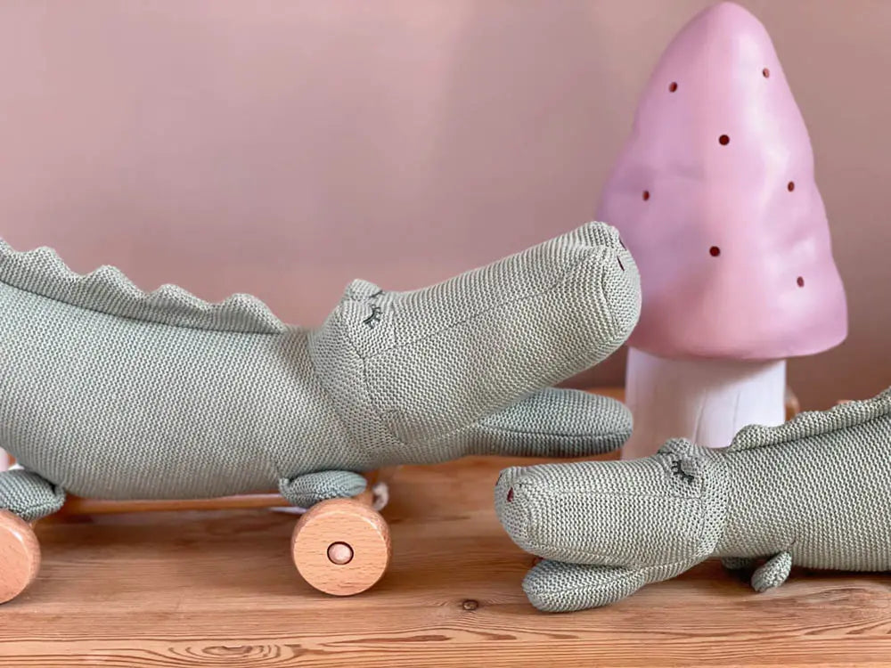 Egmont Pull Along - CROC