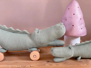 Egmont Pull Along - CROC