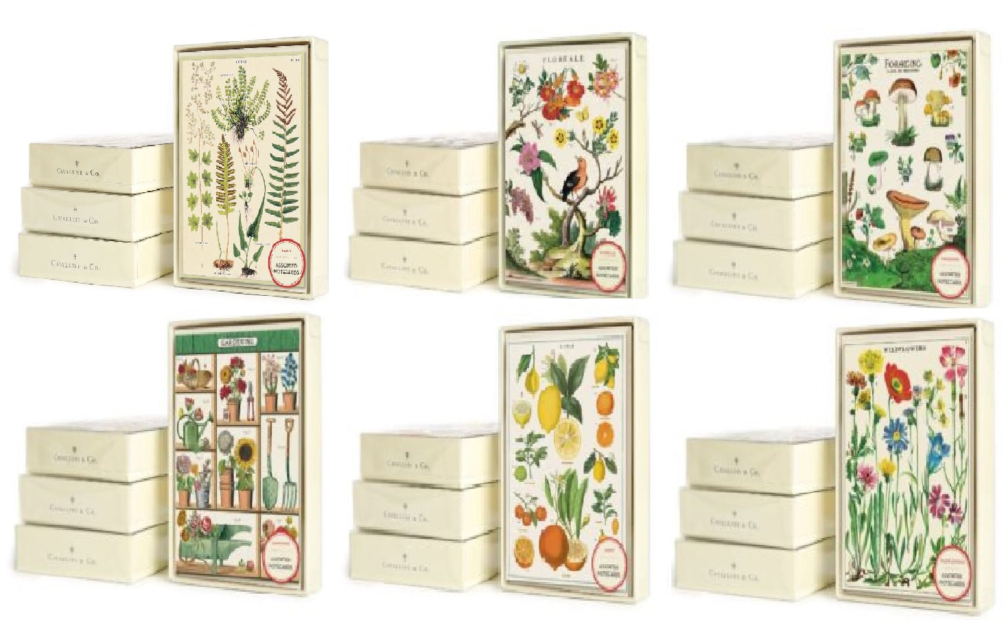 Cavallini - Boxed Notecards